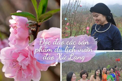 Độc đáo các sản phẩm du lịch vườn đào Xứ LạngTin khác
