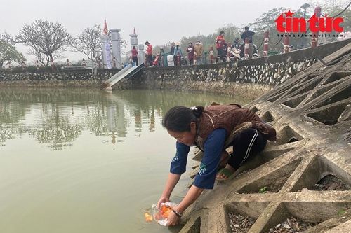 Người dân Thủ đô đi thả cá ngày Tết ông Công, ông Táo