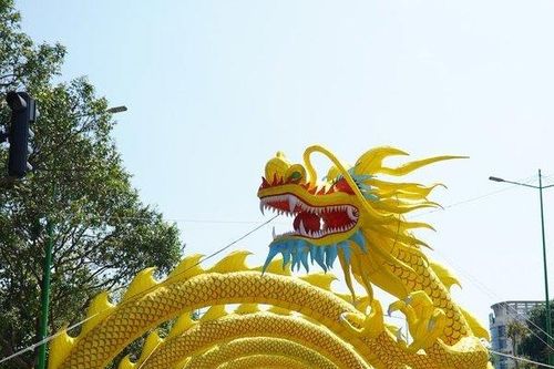 Bình Thuận: Độc đáo Đường hoa xuân 2024 với linh vật rồng uốn lượn