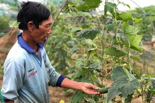 Đà Nẵng triển khai loạt chính sách, phấn đấu 2025 không còn hộ nghèo