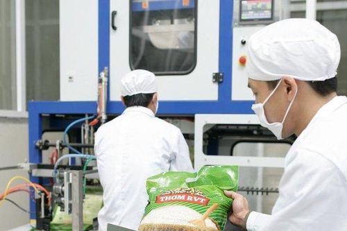 Vinaseed bị 'réo' tên do sai phạm liên quan đến thuế