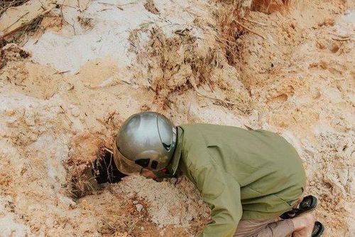 Độc đáo nghề đào 'cát trắng lộc trời' dịp Tết
