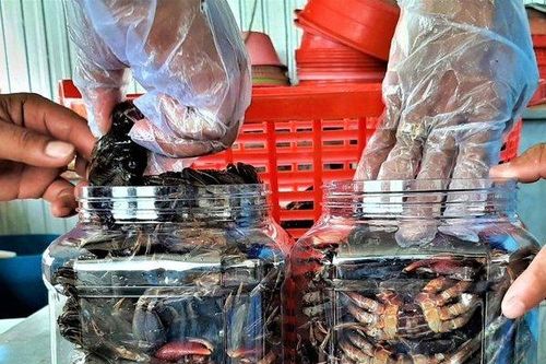 Muối ba khía đất Mũi, con đường thành di sản