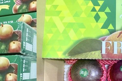 Trái cây Việt từng bước chinh phục thị trường nhập khẩu khó tính