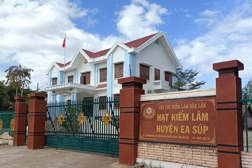 Vụ 'mất' gần 400ha đất dự án ở Đắk Lắk, chủ rừng không hợp tác
