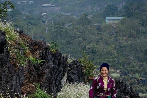 Hoa chen đá trên cao nguyên đá Hà Giang