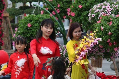 250.000 cây hoa tô sắc thắm trung tâm Hải Phòng