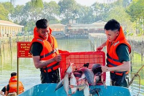 Chủ động bảo đảm thực phẩm phục vụ bộ đội