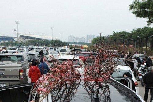 Ô tô xếp hàng dài mua hoa giảm giá chiều 29 Tết