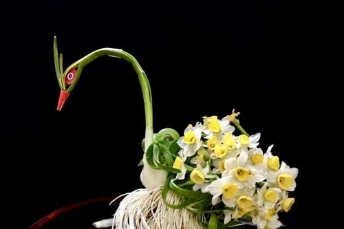 Gọt hoa thủy tiên - thú chơi tao nhã ngày xuân