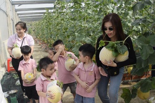 Du lịch Cà Mau chuẩn bị chu đáo đón khách mùa Tết