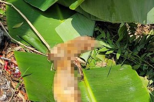Phát hiện nhiều bộ phận cơ thể người dưới kênh ở Vĩnh Long
