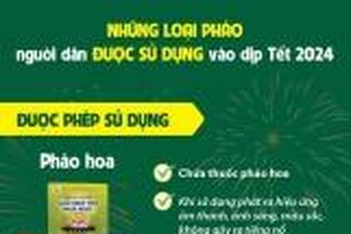 Các loại pháo hoa được phép sử dụng vào dịp Tết 2024
