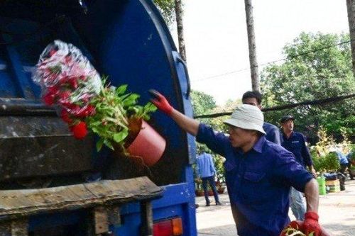 Trưa 30 Tết, hoa kiểng bị vứt bỏ hàng loạt ở TP.HCM