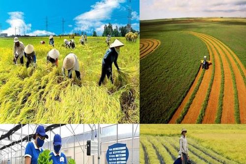 Bản tin thời sự sáng ngày 12/02/2024