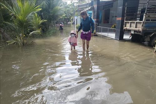 Người dân Bến Tre chật vật với triều cường dâng cao ngày mùng 3 Tết
