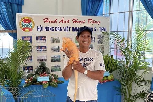 Khởi nghiệp nuôi rồng Nam Mỹ từ 2,4 triệu đồng, nay có thu nhập gần nửa tỷ đồng/năm