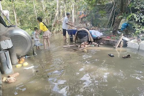 Khắc phục nhanh sạt lở do triều cường ở Bến Tre