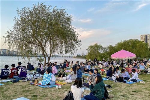 Hàn Quốc ghi nhận nhiệt độ buổi sáng tháng 2 ấm chưa từng thấy