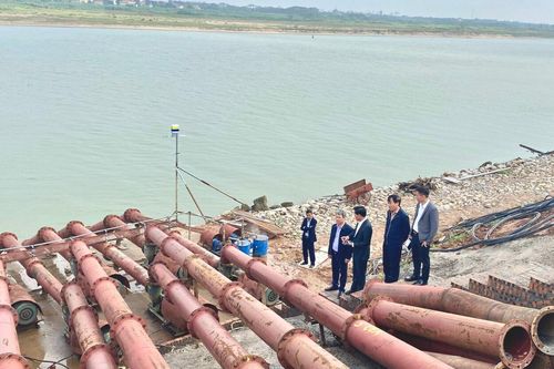 Hơn 447 nghìn ha ruộng có nước gieo cấy lúa vụ đông xuân 2023-2024