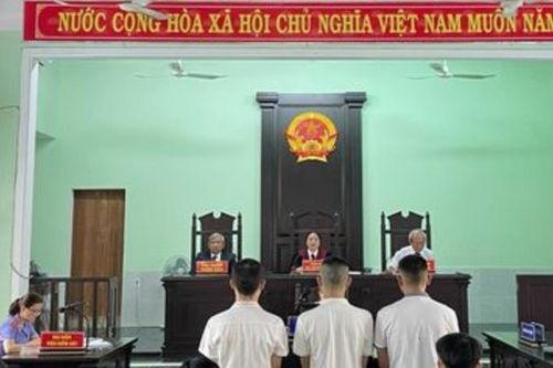 Xuân này con không về!