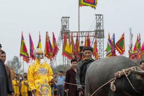 Đầu năm 'vua' xuống ruộng đi cày