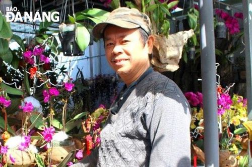 Người mê ghép lan trên gỗ lũa