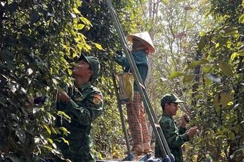 Giúp dân biên giới những việc thiết thực
