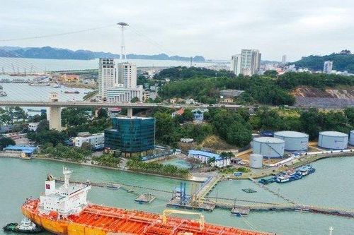 Bức tranh nhiều màu xám của ngành vận tải biển và kỳ vọng phục hồi