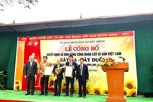 Đón bằng công nhận cây di sản Việt Nam