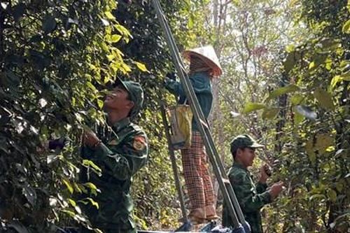 Đẩy mạnh việc giúp nhân dân khu vực biên giới