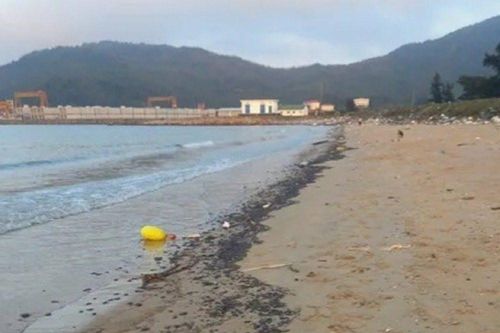Tìm nguyên nhân dầu vón cục tràn vào bờ biển Kỳ Anh - Hà Tĩnh