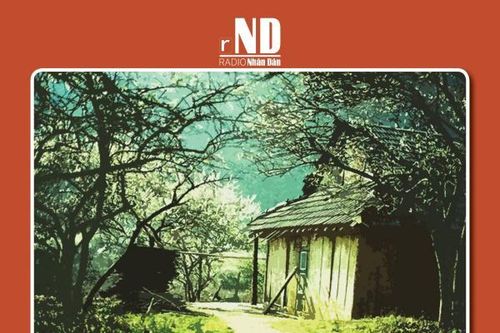 Truyện ngắn: Rượu mận