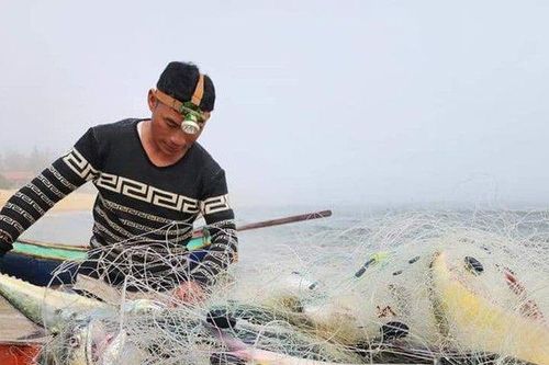 Quảng Bình: Ngư dân phấn khởi trúng đậm 'lộc biển' những ngày đầu năm