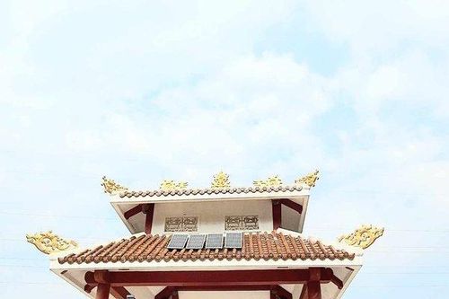 Thú vị 6 tổ ong vò vẽ 'gác canh' ở bia tưởng niệm 13 liệt sĩ Rào Trăng