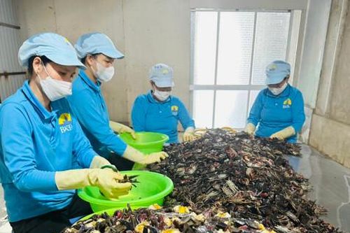 Chuyển đổi số từ nhận thức trong làm ăn tập thể