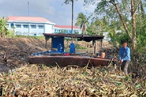 Sóc Trăng: Nông dân phấn khởi vì mía được mùa, được giá