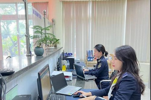 Cục Hải quan Thanh Hóa thông quan lượng hàng hóa tăng hơn 25% so với cùng kỳ