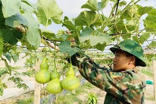 Trung đoàn Gia Định sẵn sàng tiếp nhận, huấn luyện chiến sĩ mới năm 2024
