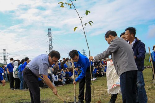Đại học Huế trồng 1.000 cây xanh đầu Xuân Giáp Thìn