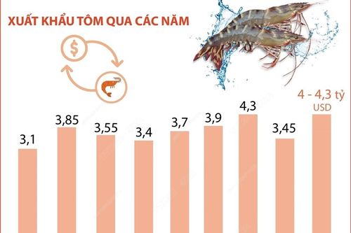 Dự báo xuất khẩu tôm sẽ phục hồi và tăng nhẹ từ 10 - 15% năm 2024