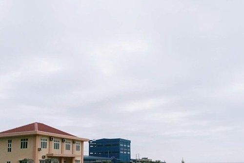 Nguyên nhân nhà máy sản xuất viên nén năng lượng 240 tỷ đồng bị đề nghị chấm dứt dự án