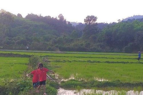 Hai hộ dân người Mã Liềng ở Quảng Bình viết đơn xin ra khỏi hộ nghèo
