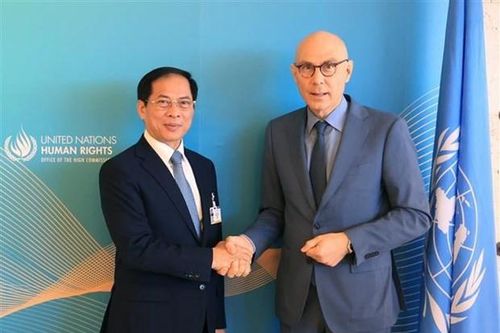 Bộ trưởng Bùi Thanh Sơn gặp Cao ủy Nhân quyền Liên hợp quốc Volker Turk
