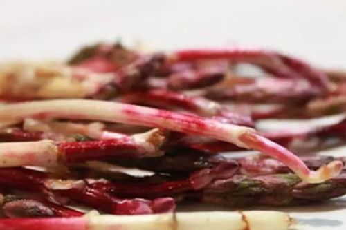 Loại cây 'lạ' mọc hoang đắt đỏ nhất thế giới giá hơn 36 triệu đồng/kg