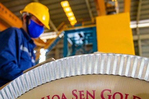 Tập đoàn Hoa Sen đặt mục tiêu lợi nhuận gấp 16 lần, đạt 500 tỷ đồng