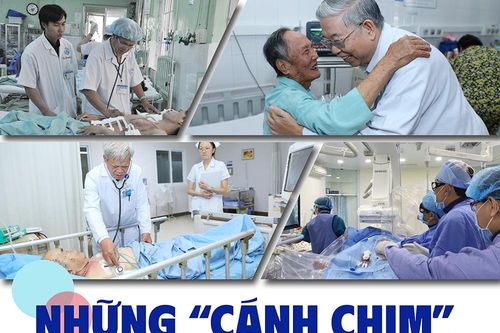 Những 'cánh chim' không mỏi