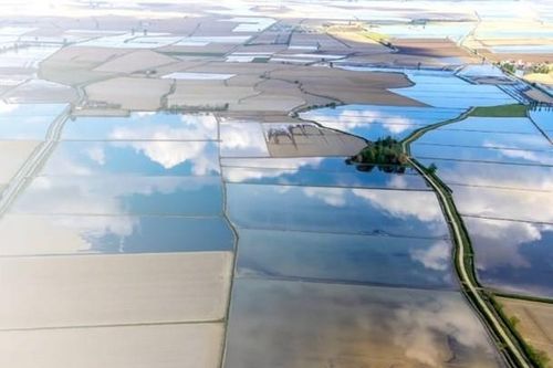 Khám phá vẻ đẹp nông nghiệp lúa nước Italy