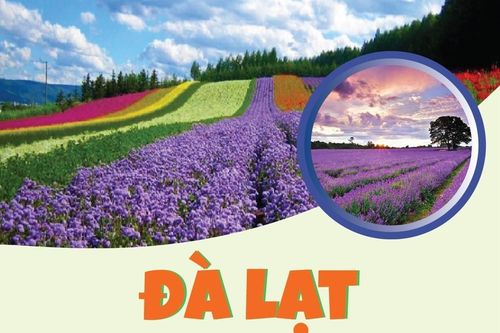 Đà Lạt - Thành phố lễ hội châu Á