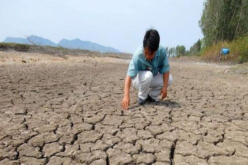Bản tin thời sự sáng ngày 03/03/2024